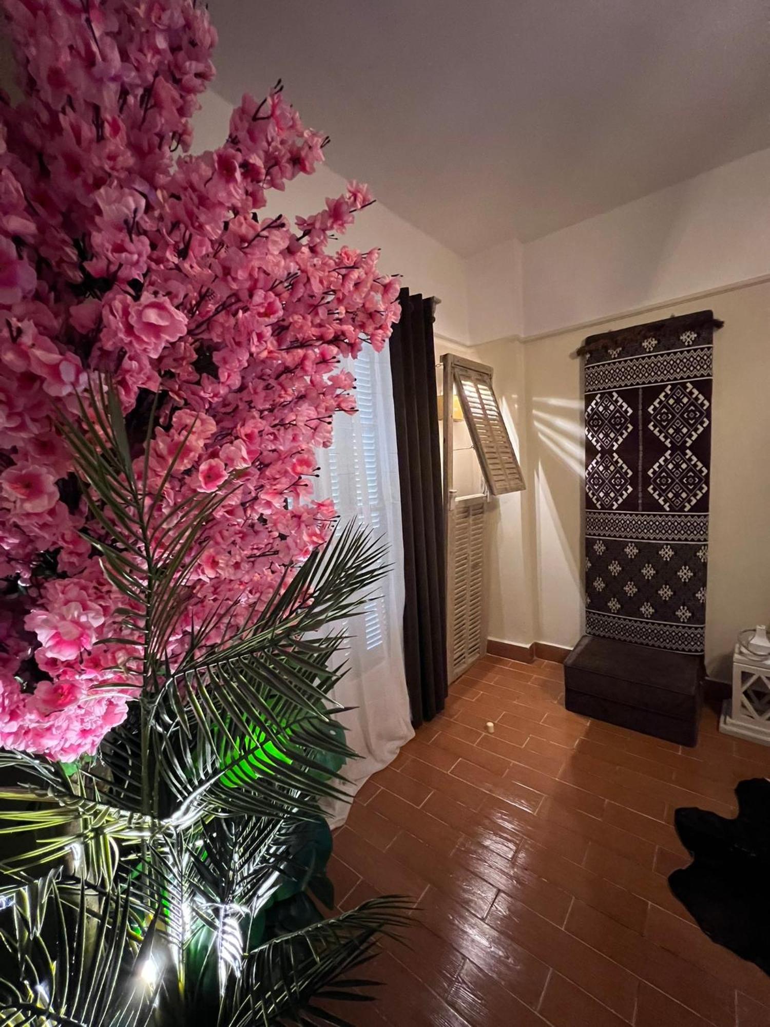 Apartman Ma Maison Cleopatra,