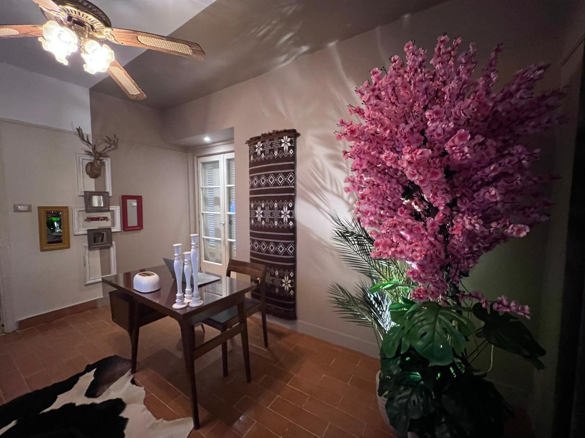 Apartman Ma Maison Cleopatra, *